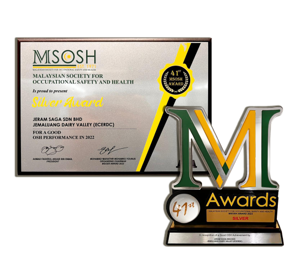 MSOSH Excellence Award