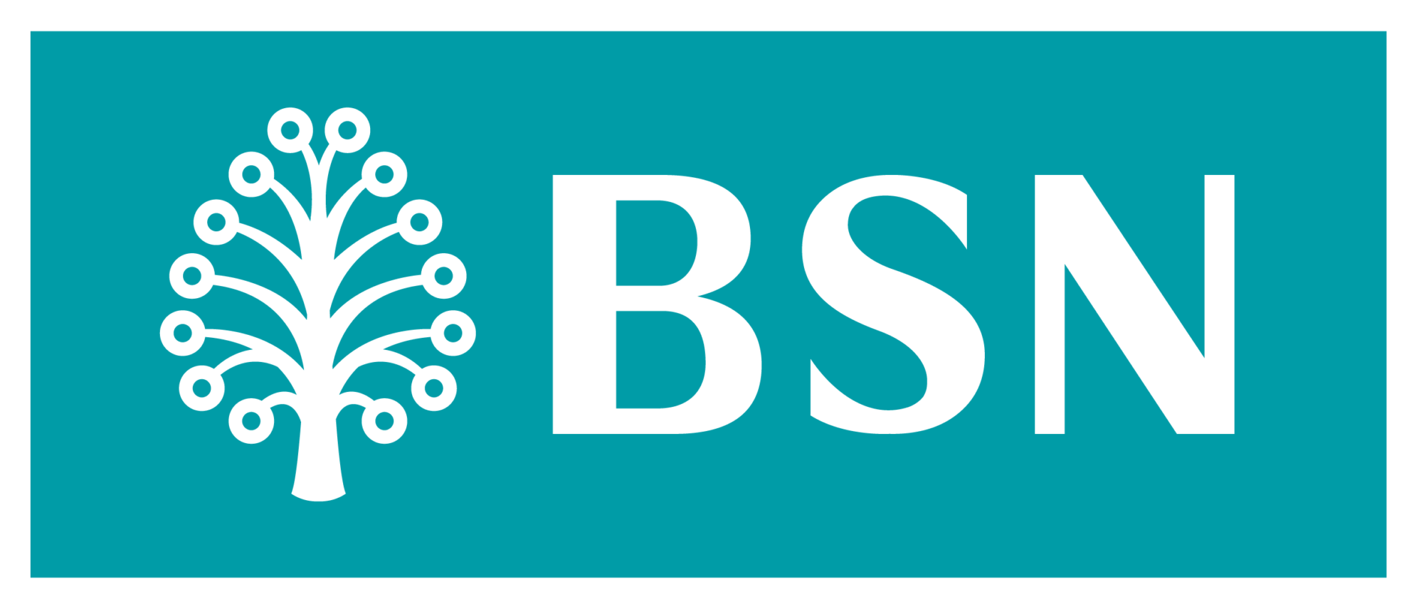 Bank Simpanan Nasional