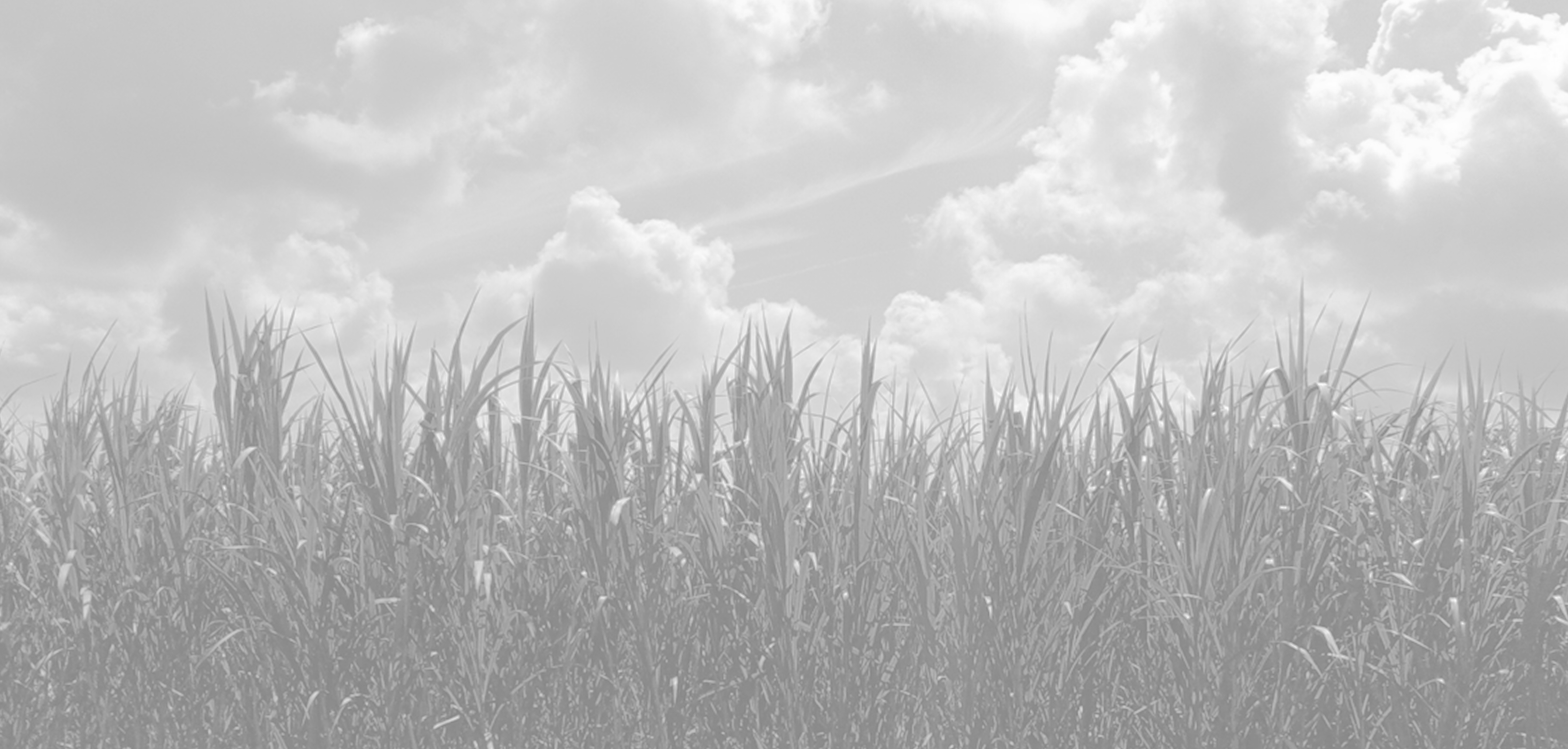 Bina Foder & Pastura Agropolitan