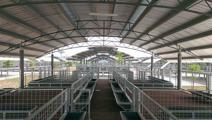 Pekan Agropolitan Project (PAP), Batu 8 - Image 2