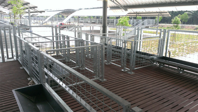 Pekan Agropolitan Project (PAP), Batu 8 - Image 3