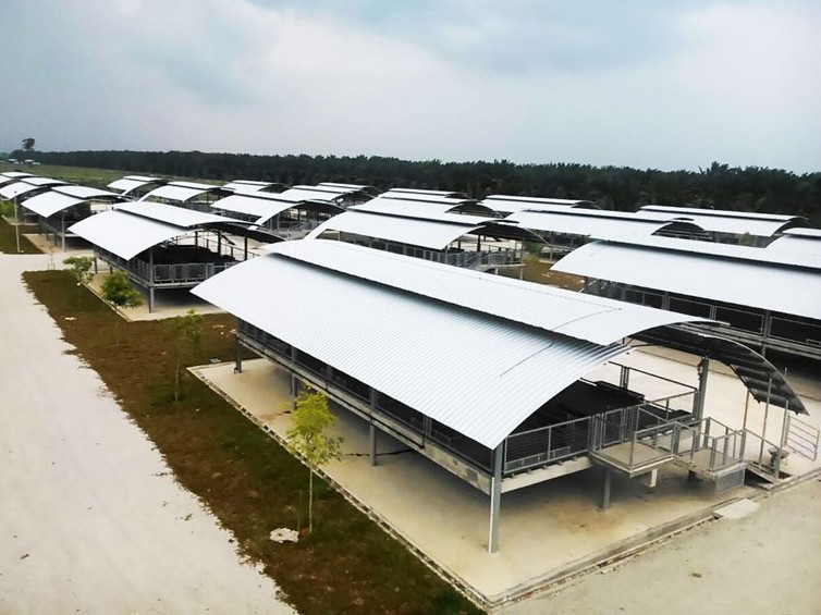 Pekan Agropolitan Project (PAP), Batu 8 - Image 4