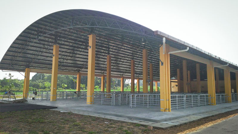 Pekan Agropolitan Project (PAP), Batu 8 - Image 7