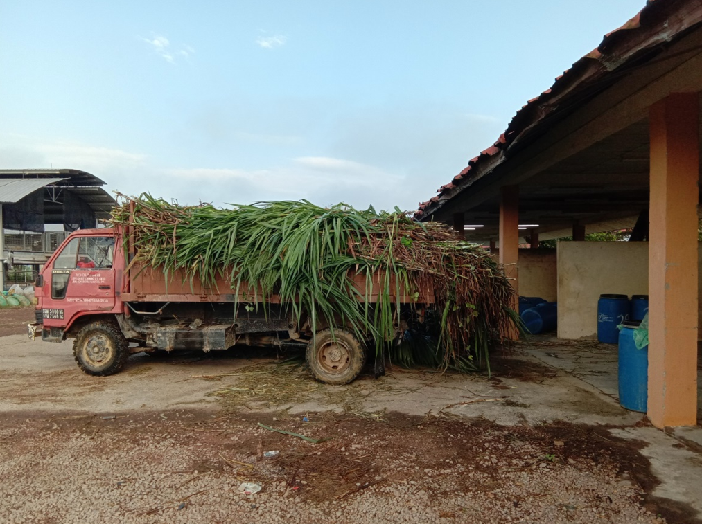 Fodder and Pasture Establishement, Maintenance and Harvesting - Image 6