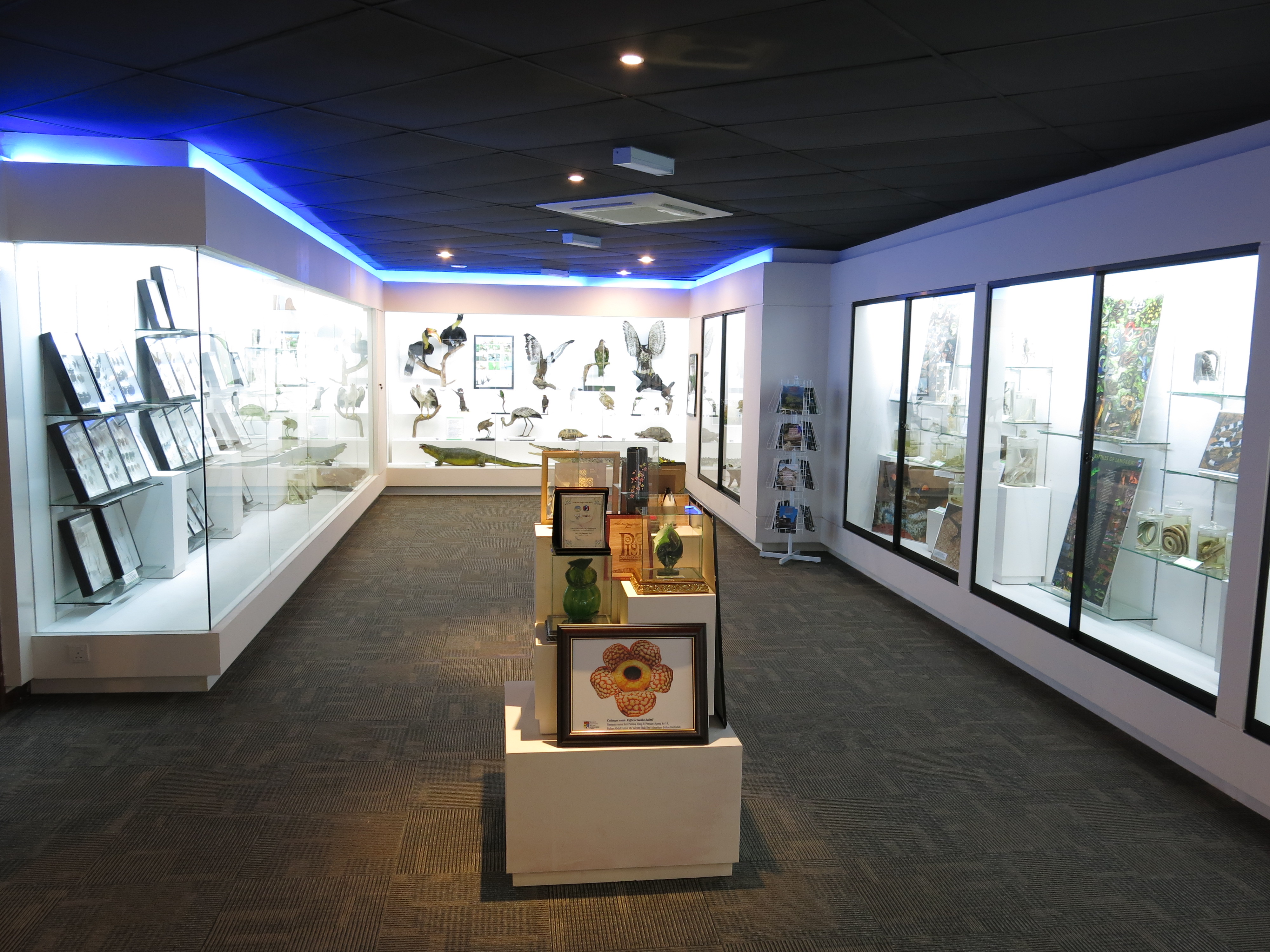 Universiti Kebangsaan Malaysia (UKM) - Langkawi Research Center - Image 11